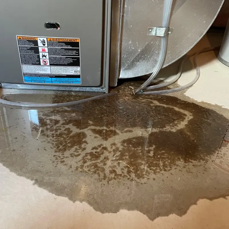 Appliance Leak Cleanup in Fredericksburg, TX