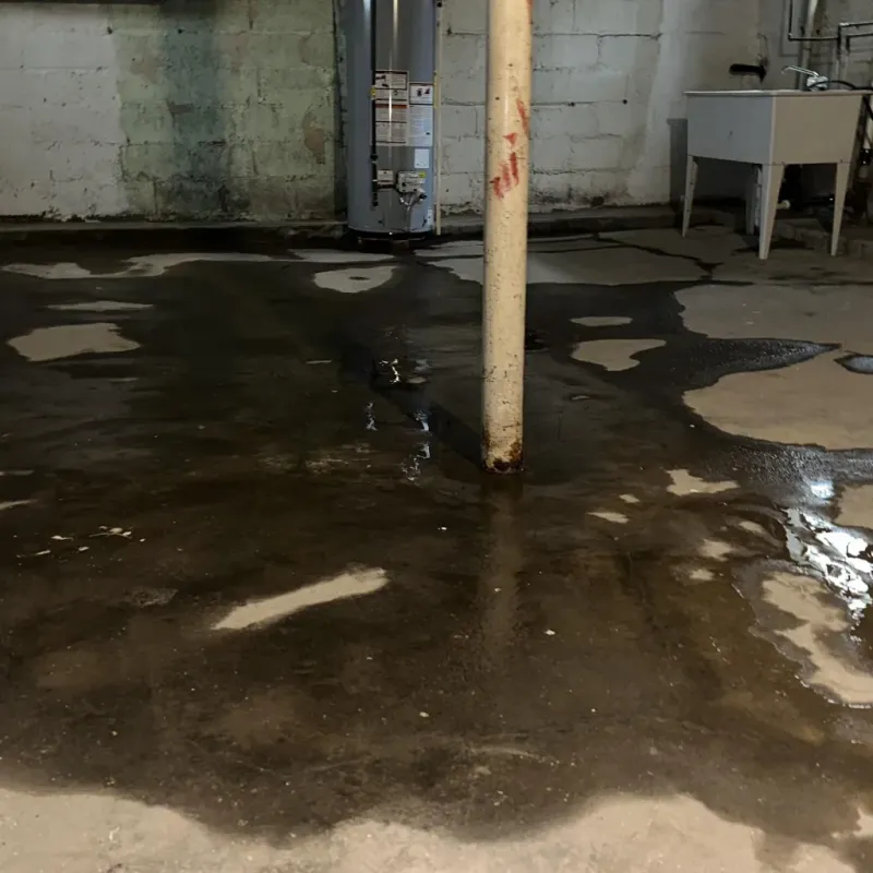 Emergency Water Extraction And Removal in Fredericksburg, TX